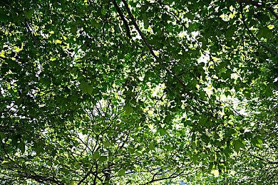 《龙腾世纪》系列Steam新史低特卖 《审判》仅19.8元