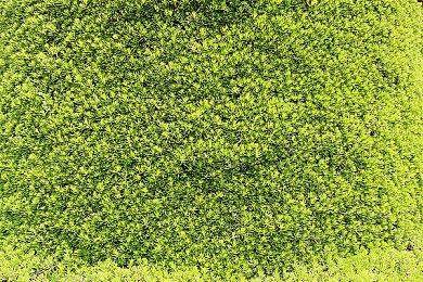 犯罪推理《神秘谋杀机器》8月25日发售 登陆全平台